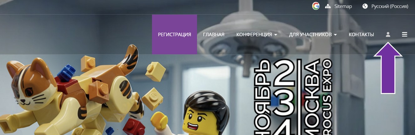 Расположение значка входа на сайте NVC