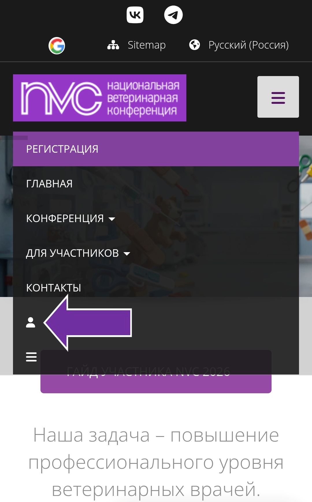Вход в аккаунт через мобильное меню